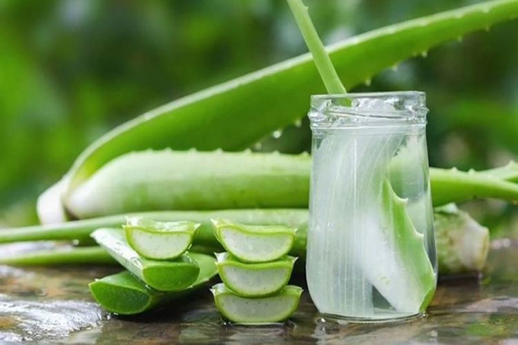 Aloe Vera Leke Giderir Mi?