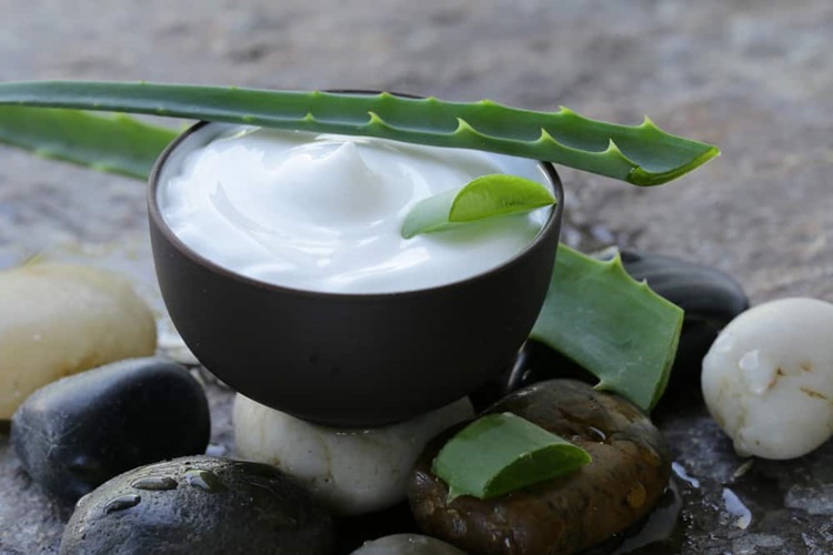 Aloe Vera Saça Zarar Verir Mi?