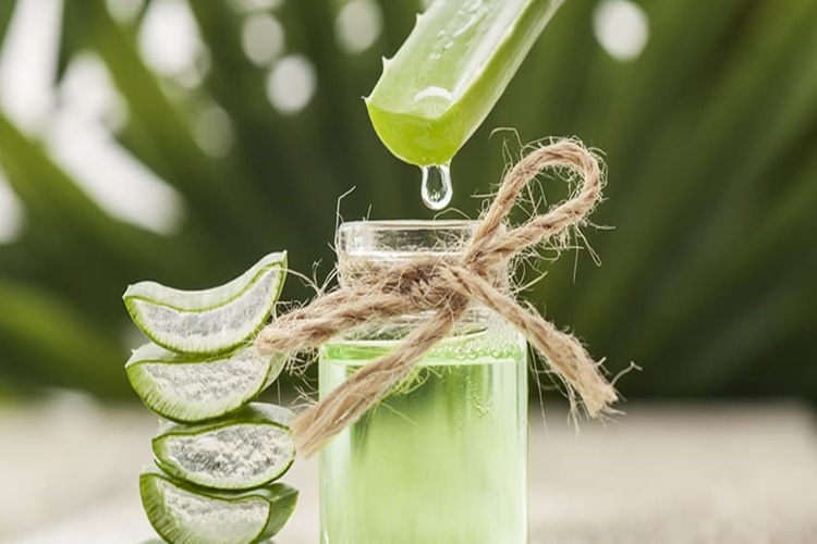 Aloe Vera Saçı Besler Mi?