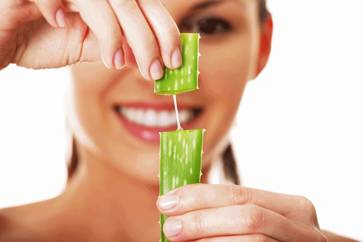 Aloe Vera Yanığa İyi Gelir Mi?