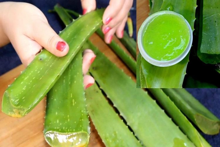 Aloe Vera Yüz Kremi Evde Nasıl Yapılır?