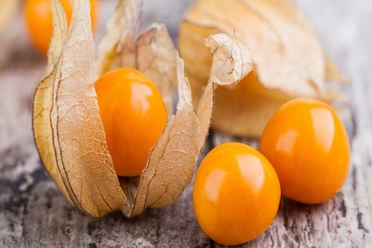 Altın Çilek Çayının Faydaları Nelerdir?