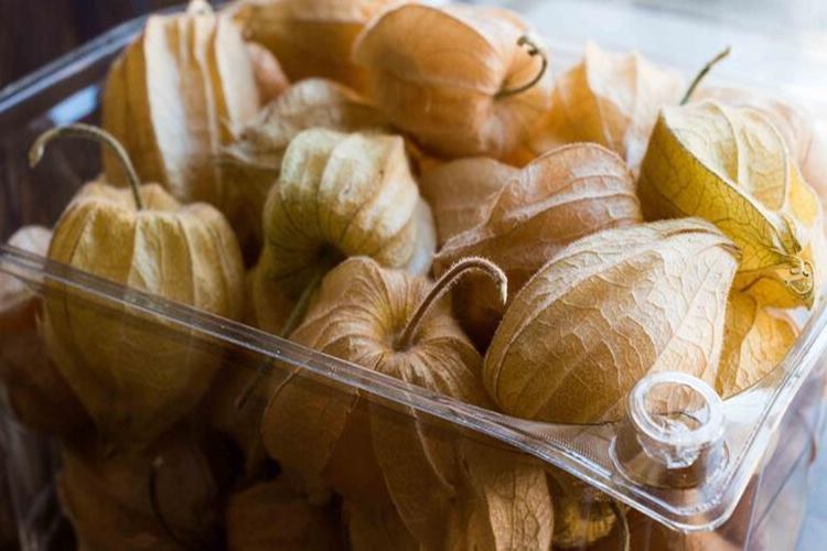 Altın Çilek Gebelikte Kullanımı Nasıl Olur?