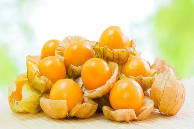 Altın Çilek Şeker Hastaları Kullanabilir Mi?
