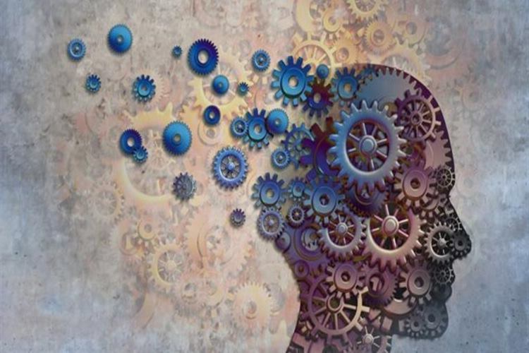 Alzheimer Evreleri Nelerdir?