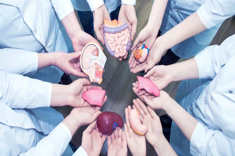 Ani Organ Yetmezliği Nedir?