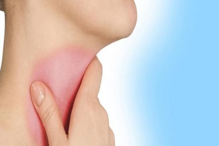 Anjin Hakkında Merak Edilenler 