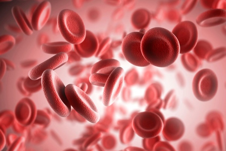 Antibiyotik Demir Eksikliği Yapar Mı?