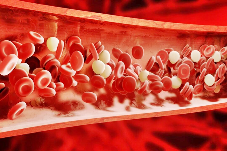 Antibiyotik Kan Sulandırır Mı?