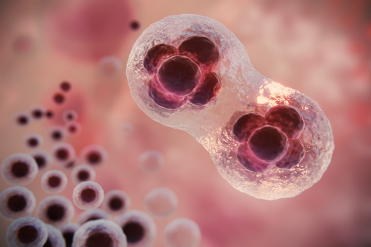 Antibiyotik Kanama Yapar Mı?