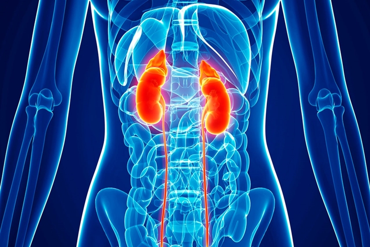 Antidepresan Böbreklere Zarar Verir Mi?