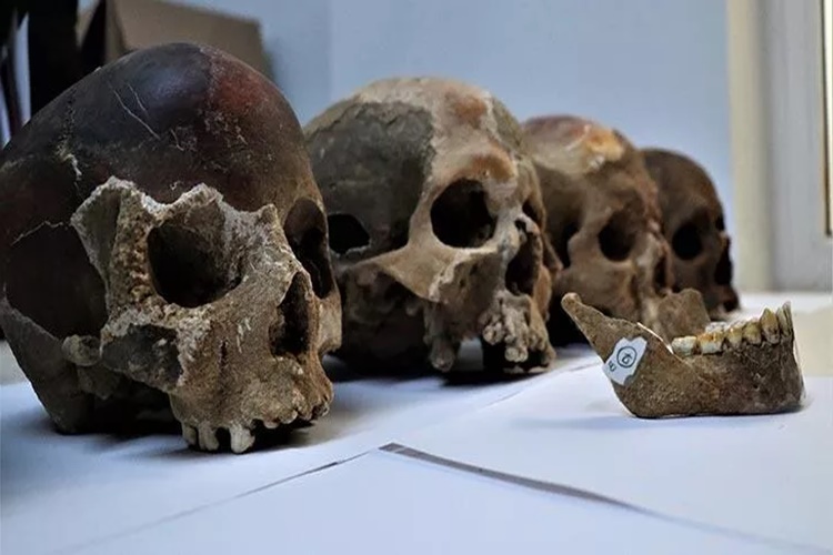 Antropoloji Bölümü Olan Üniversiteler Nelerdir?
