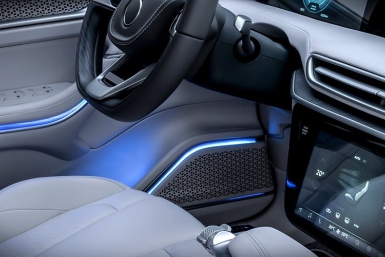 Arabanın İçi Neden Küflenir?