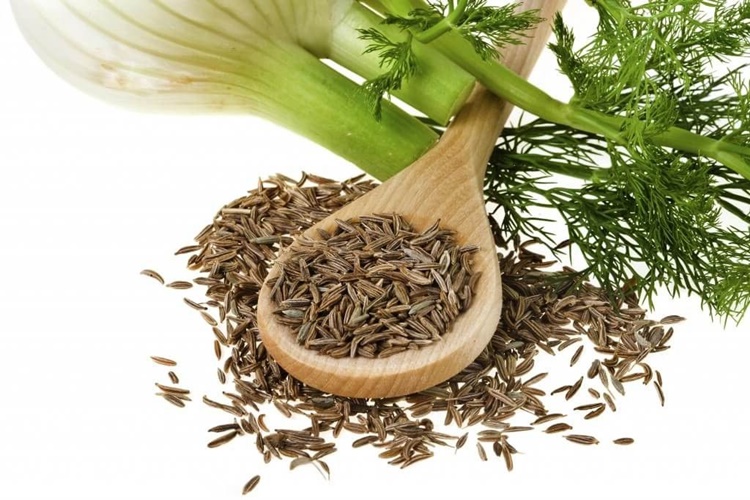 Arapsaçı Otu Faydaları Nelerdir?