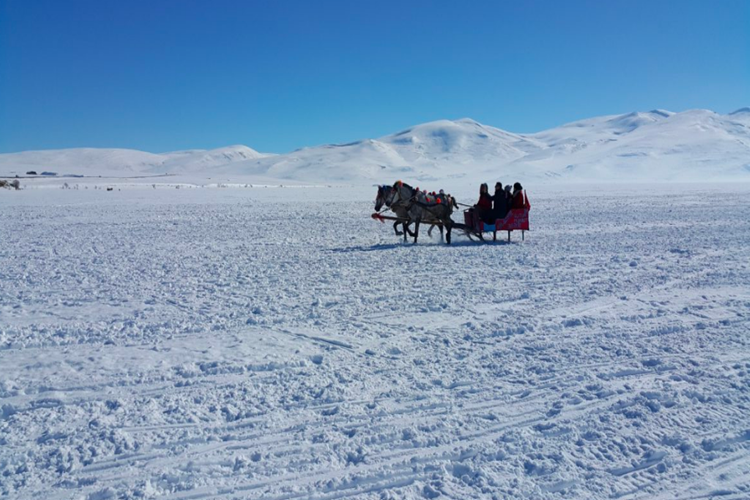 Ardahan Ne Zaman İl Oldu?