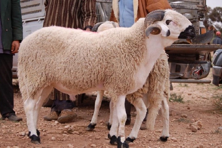 Arefe Günü Ne Yapılmalıdır?