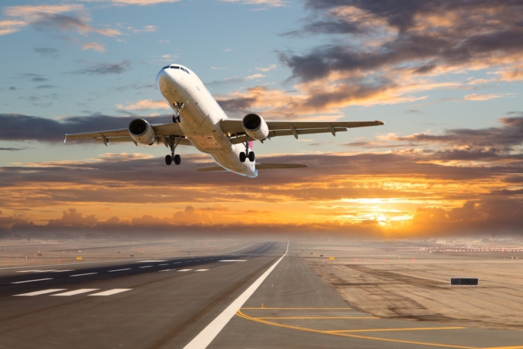 Arff Memuru Olmak Için Hangi Bölüm Okunmalı?