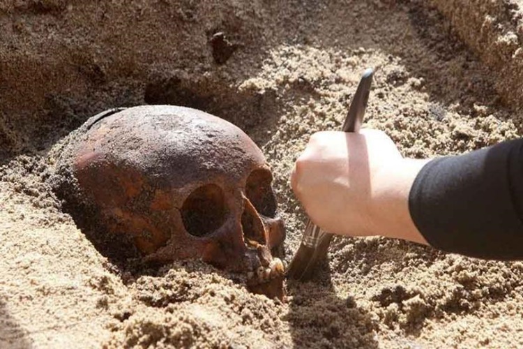 Arkeoloji Alt Dalları Nelerdir?