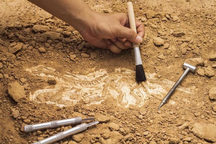 Arkeoloji Anlamı Nedir?