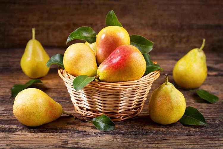 Armut Ağacı Ateşe Dayanıklılığı Nasıldır?