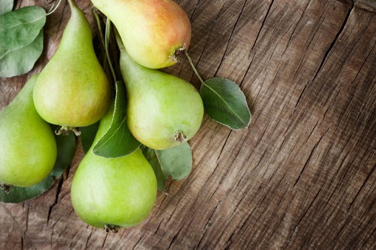 Armut Ağacı Gübreleme Nasıl Yapılır?
