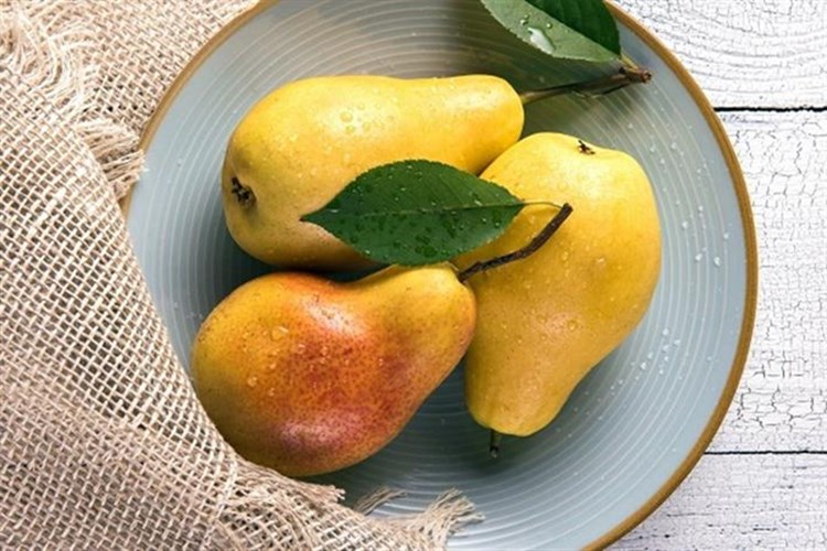 Armut Ağacı Ne Zaman Çiçek Açar?