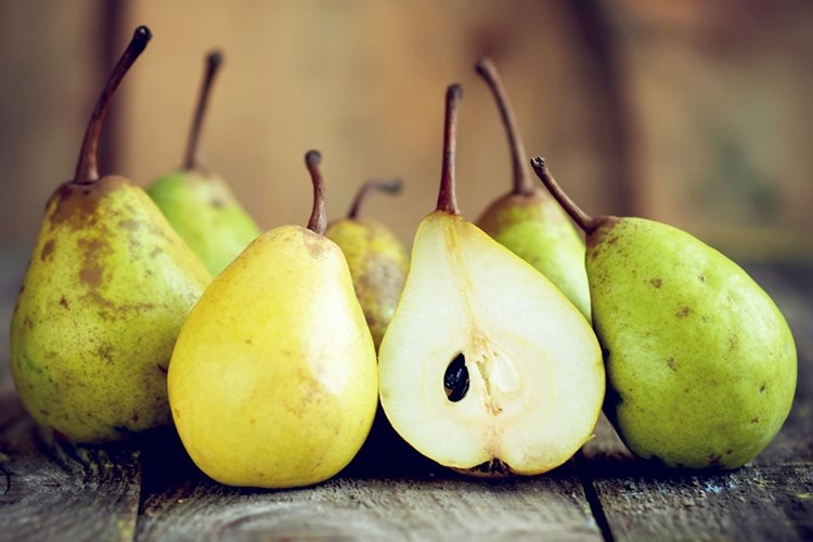 Armut Çekirdeği Kaç Günde Çimlenme Olur?