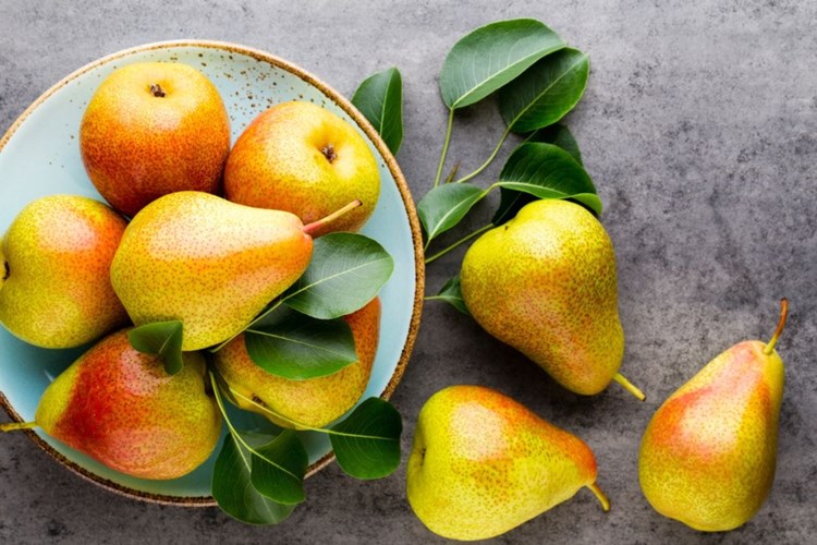 Armut Yaprağının Faydaları Nelerdir?