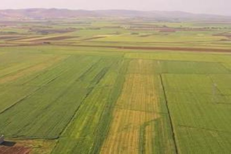 Arsa İşgali Davası Hangi Mahkemede Açılır?