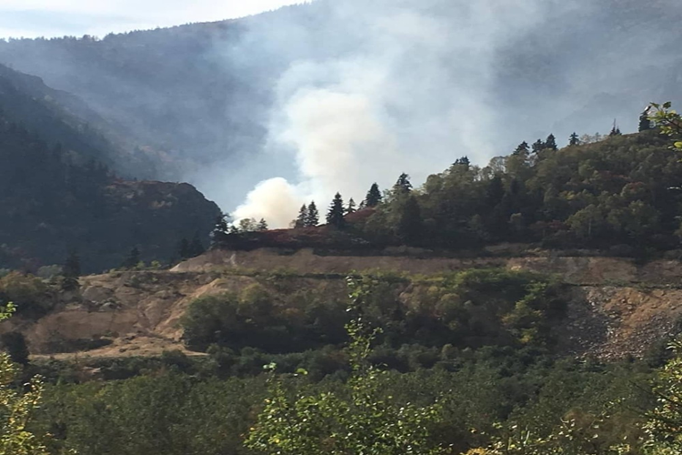 Artvin Murgul 2023 Nüfusu Kaçtır?