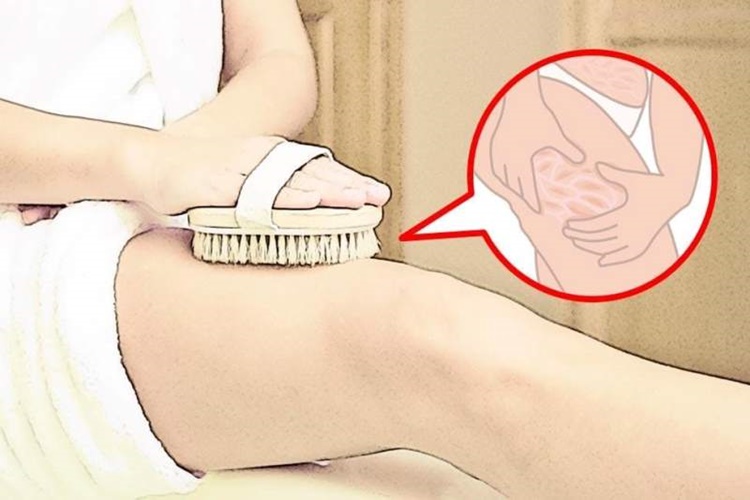 At Kılı Fırçası Faydaları Nelerdir?