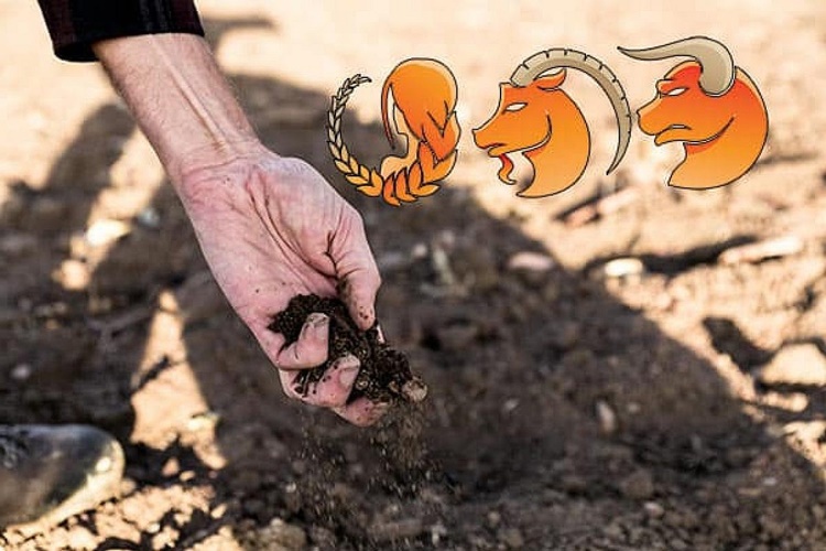 Ateş Grubu Burçlar Hakkında Merak Edilen Bilgiler