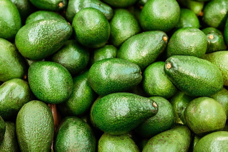 Avokado Bozulur Mu?