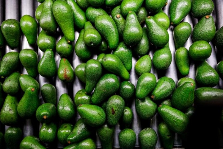 Avokado Buzlukta Nasıl Saklanır?