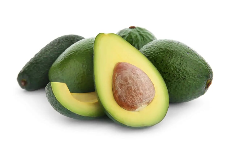 Avokado Göz Aşısı Hangi Ayda Yapılır?