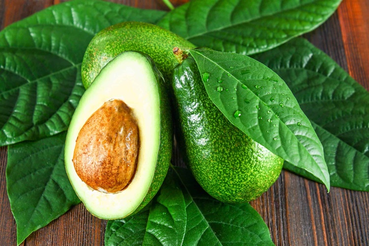 Avokado Zararları Nelerdir?