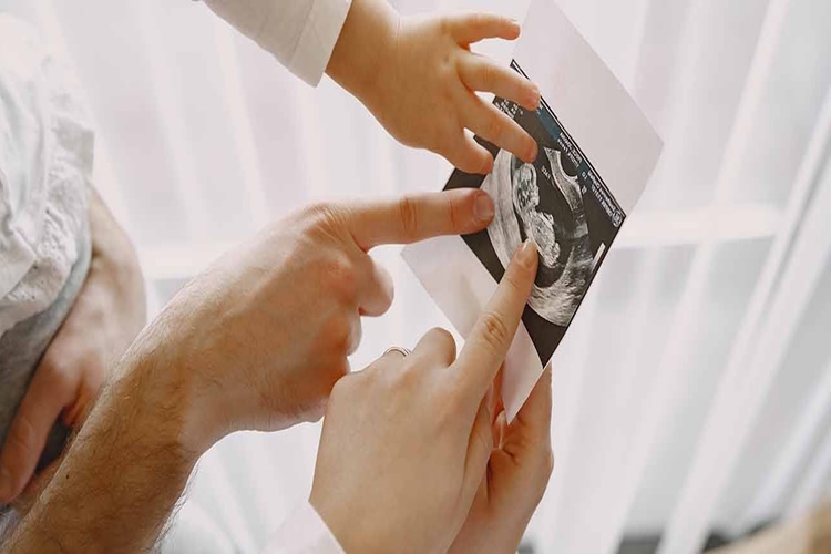 Ayrıntılı Ultrason Kaçıncı Haftada Yapılır?