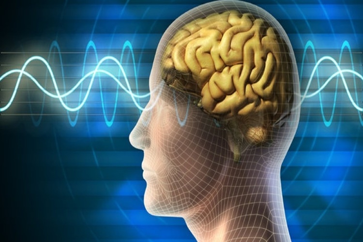 B Vitamini Hafızayı Güçlendirir Mi?