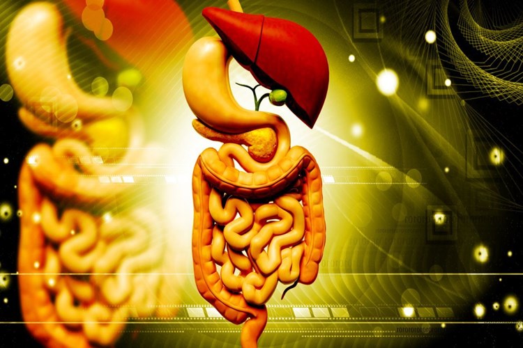 B12 Vitamini Eksikliği Neden Olur?