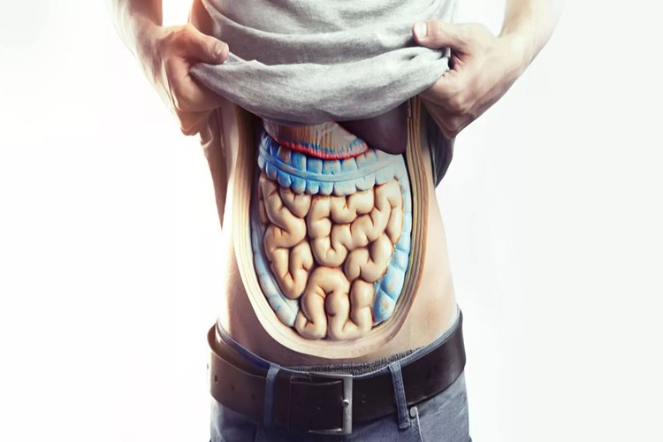 B12 Vitamini Eksikliği Nedenleri Nelerdir?