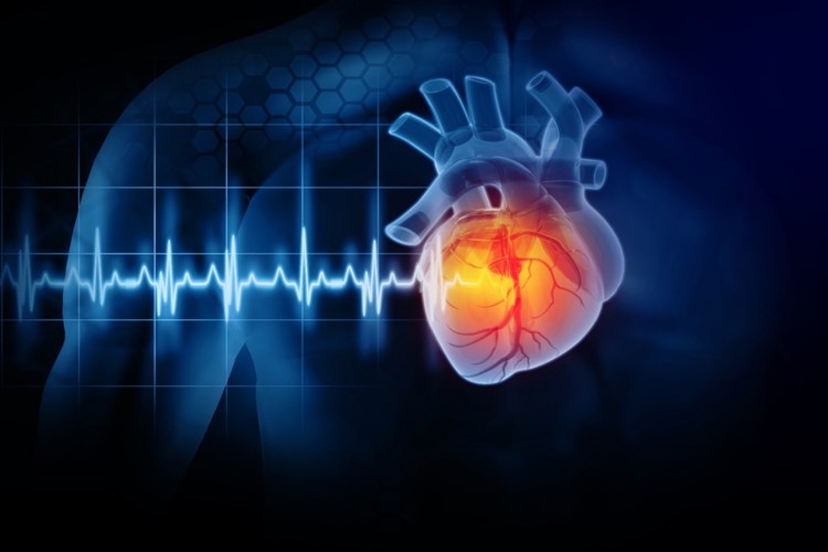 B2 Vitamini Eksikliği Çarpıntı Yapar mı?