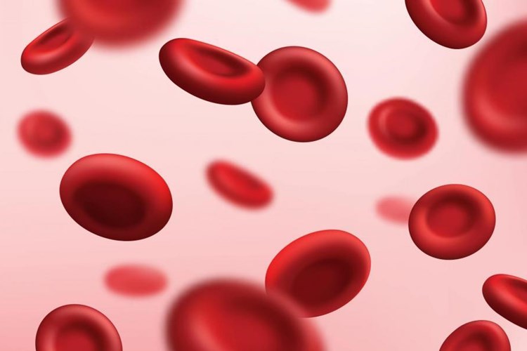 B6 Vitamini Eksikliğinde Görülen Hastalıklar Nelerdir?