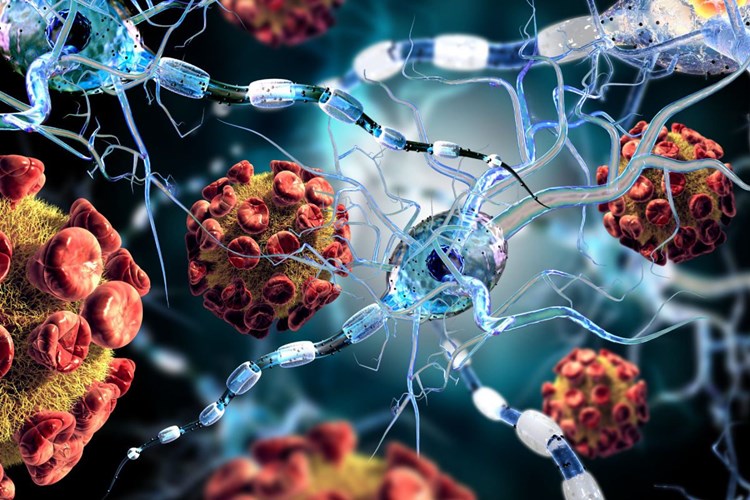 B6 Vitamini Fazlalığı Nelere Yol Açar?