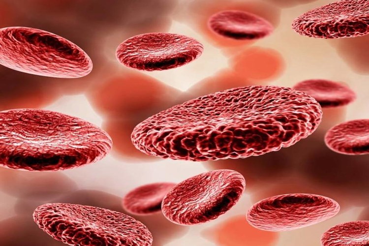 B7 Vitamini Fazlalığı Kanı Pıhtılaştırır Mı?
