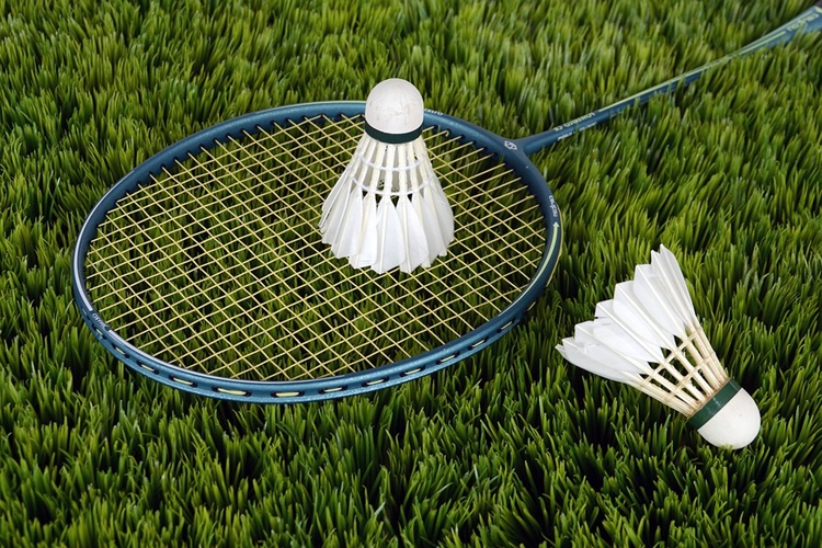 Badminton Lisans Sorgulama Nasıl Yapılır?