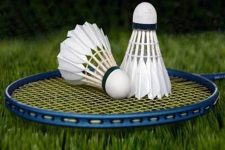 Badminton Lisansı Nasıl Alınır?