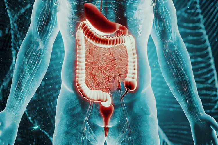 Bağırsak Tıkanıklığı Ameliyatı Kaç Saat Sürer?