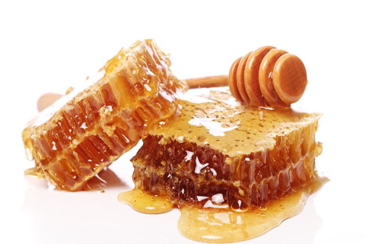 Bal Köpeklere Zararlı Mı?