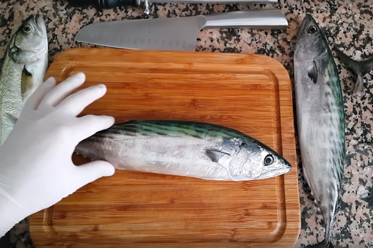 Balık Ayıklama Makinesi Nedir, Nasıl Kullanılır?