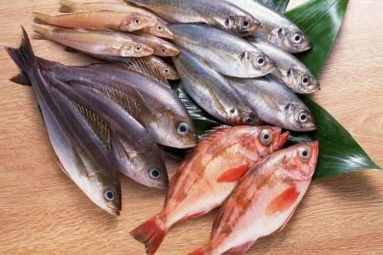 Balık Bebeklere Ne Zaman Verilir?